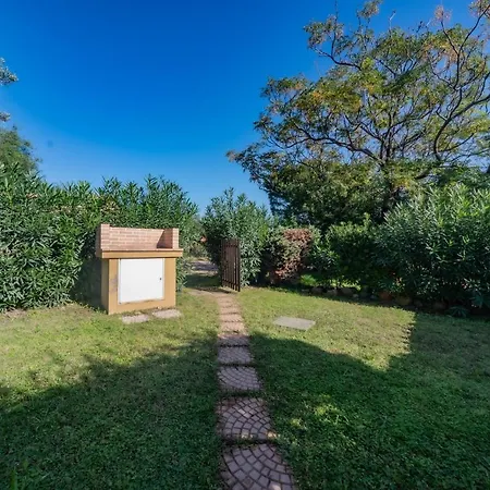 Maria Lina كوستا ري